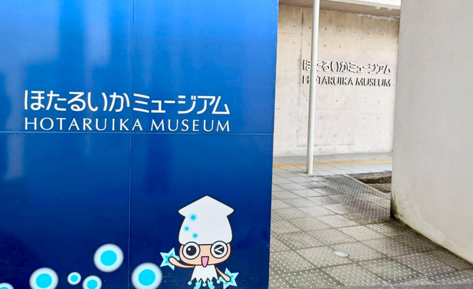 ほたるいかミュージアム