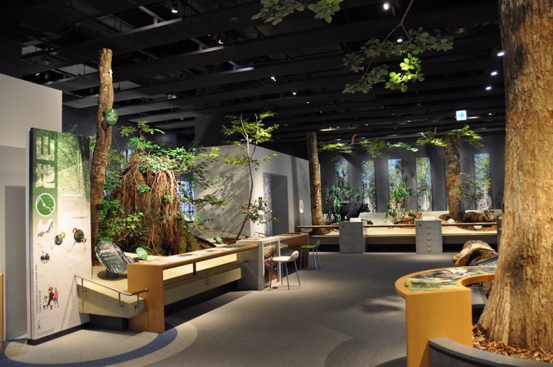 富山市科学博物館