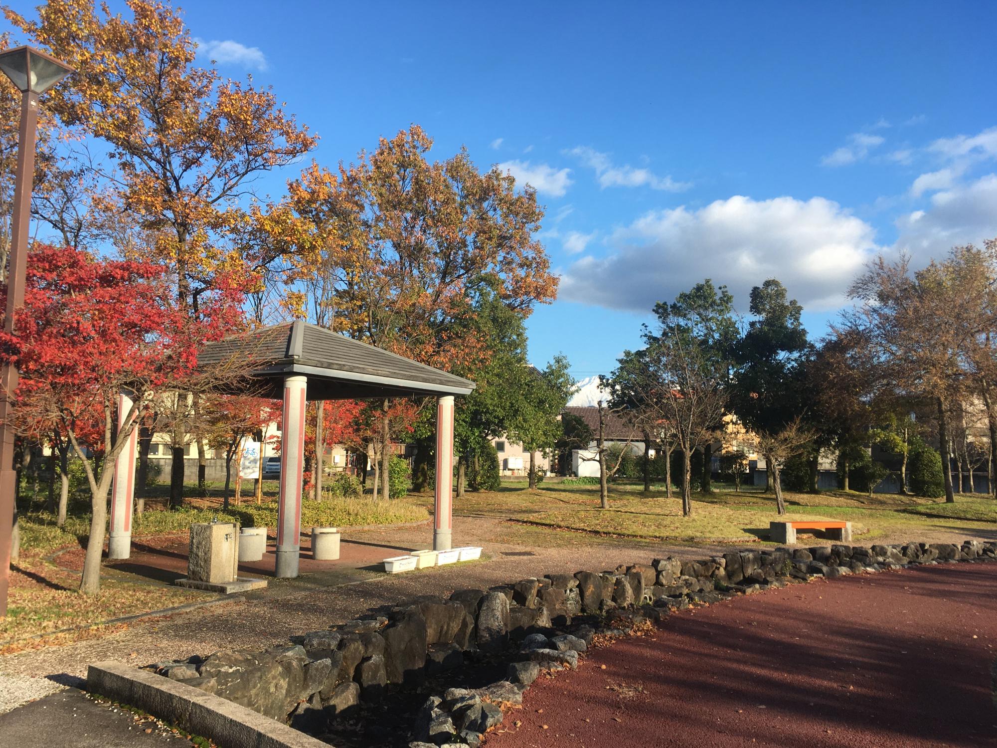 前沢中央公園