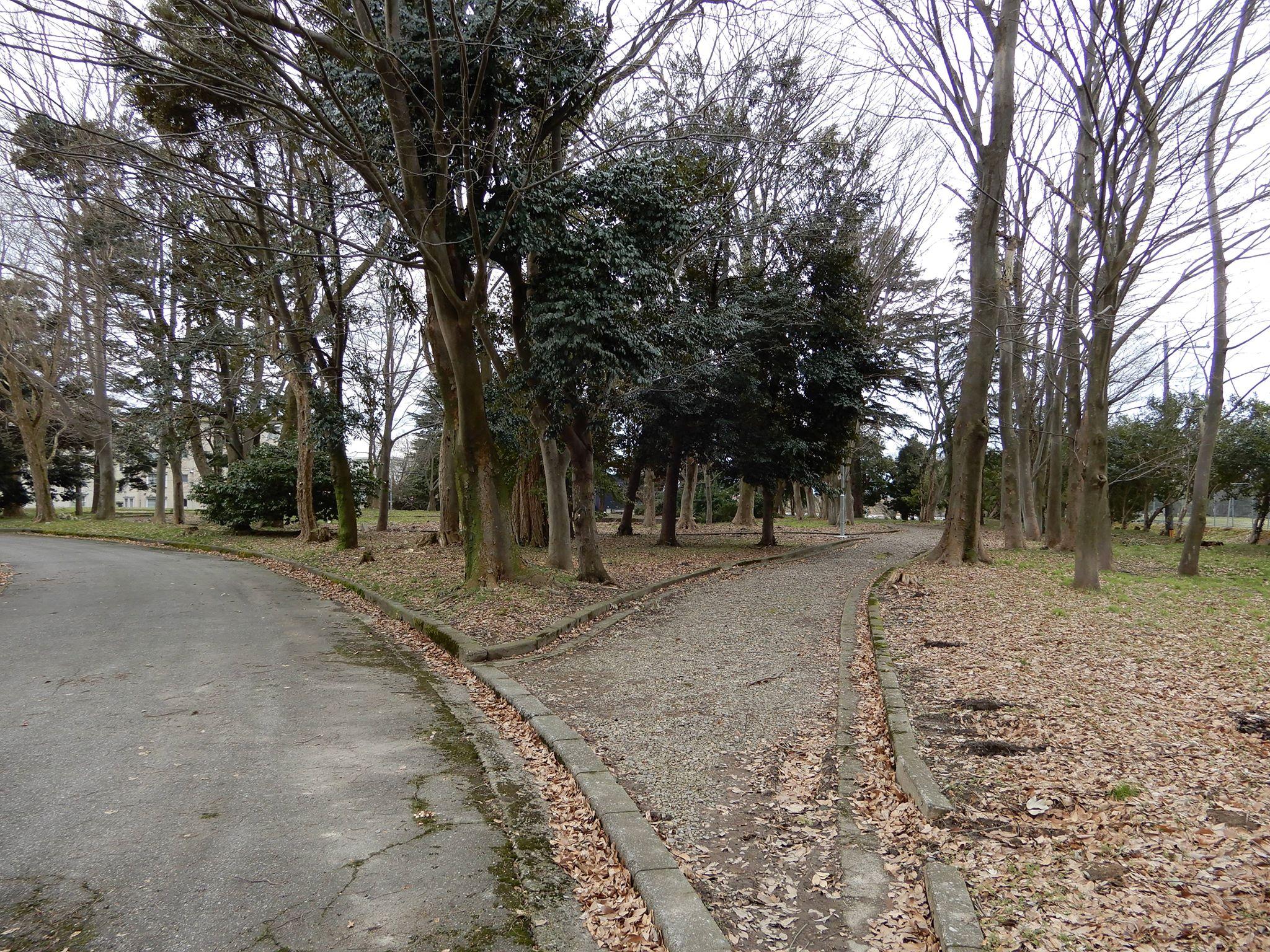 富山 公園｜馬場記念公園
