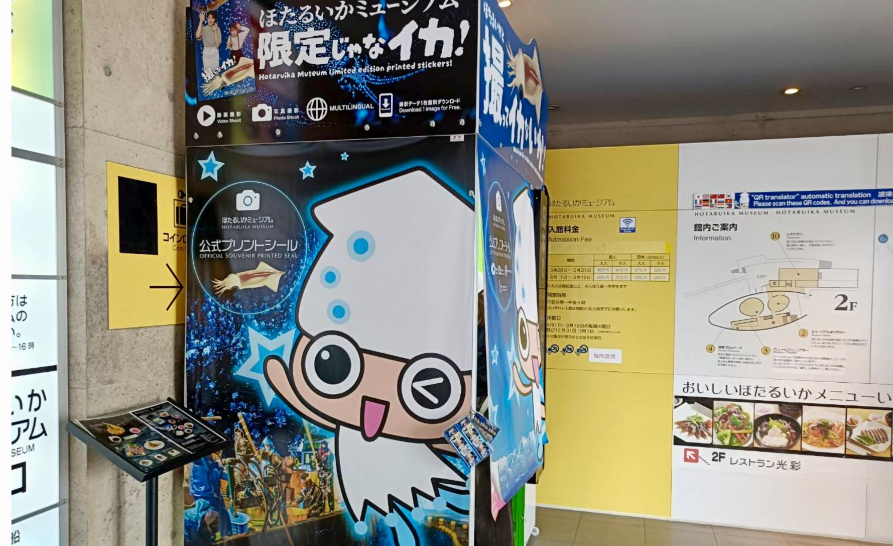 ほたるいかミュージアム
