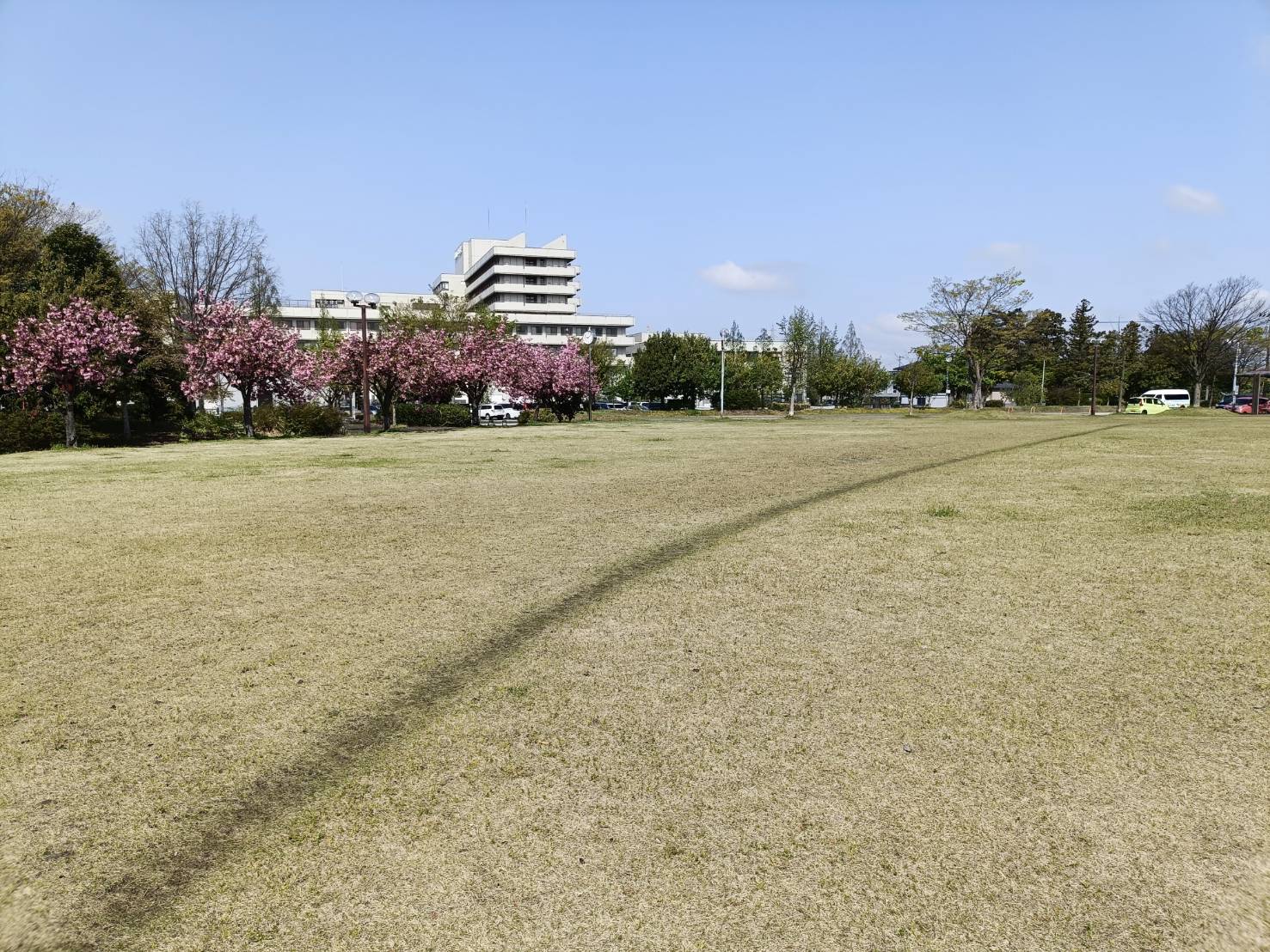 太郎丸公園運動広場