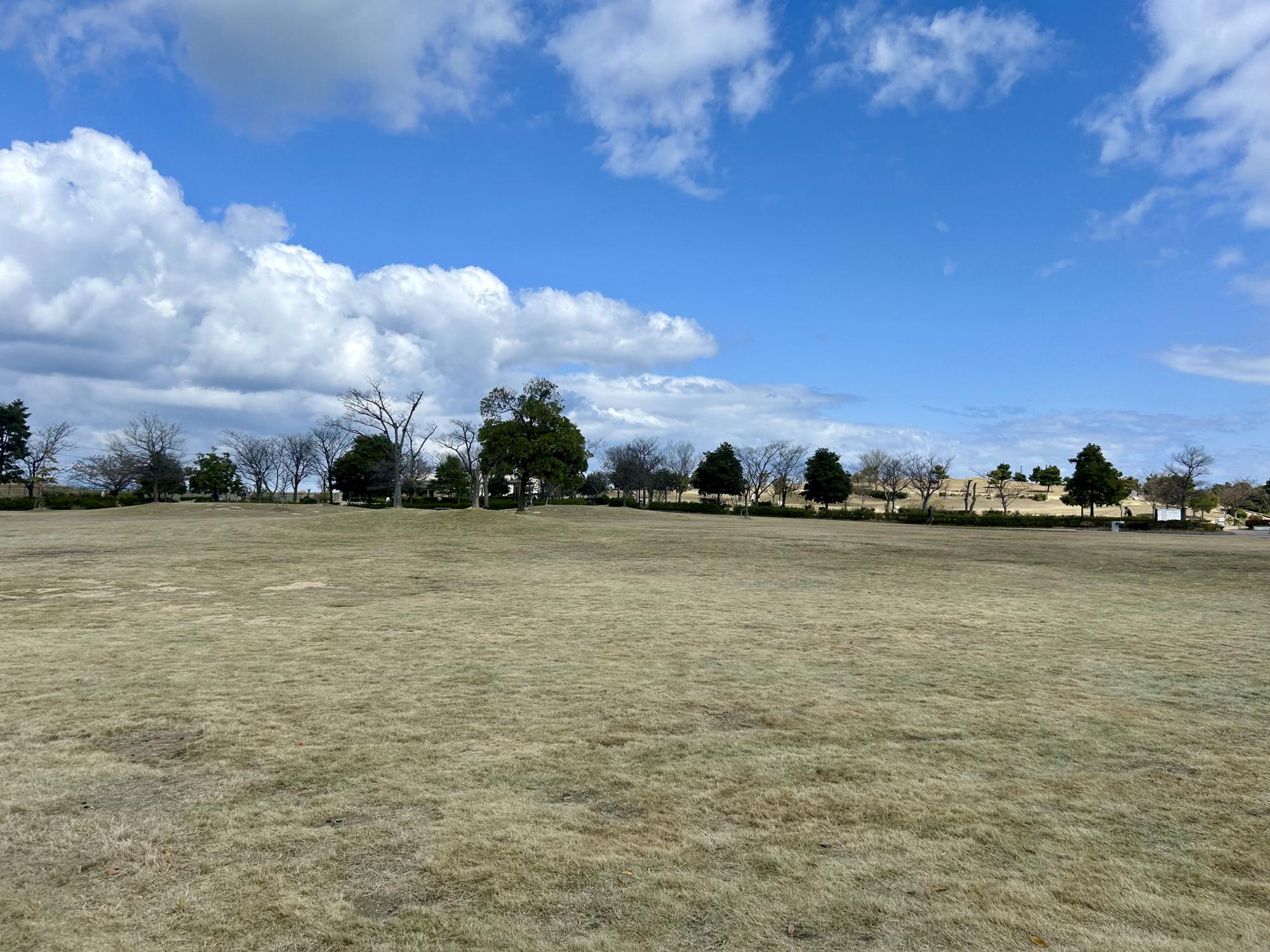 富山新港元気の森公園
