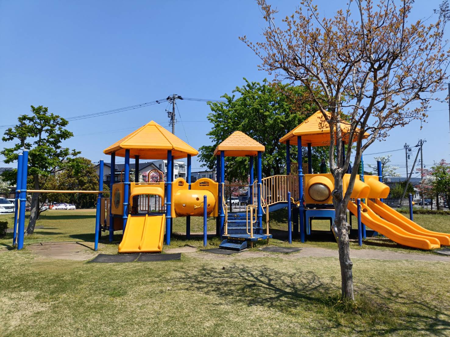 牛島公園