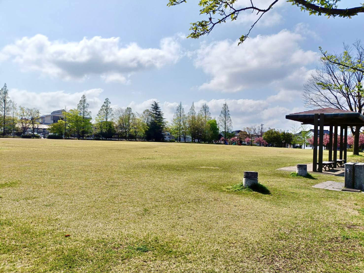 太郎丸公園運動広場