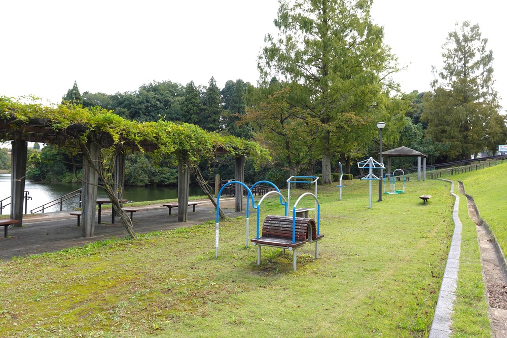 薬勝寺池公園