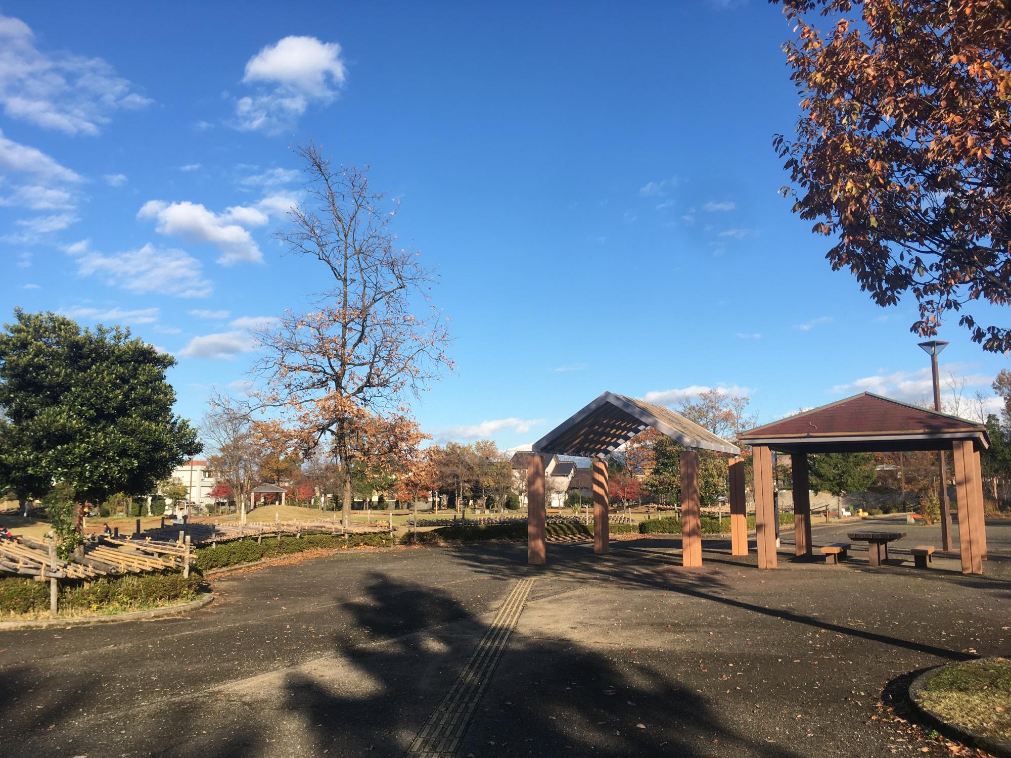 前沢中央公園