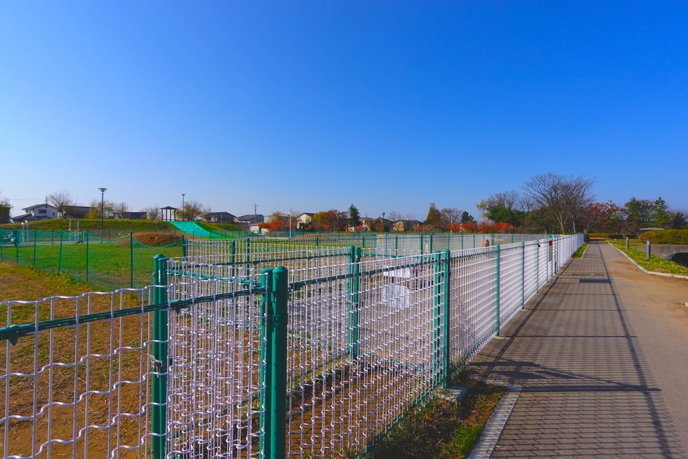 足洗潟公園
