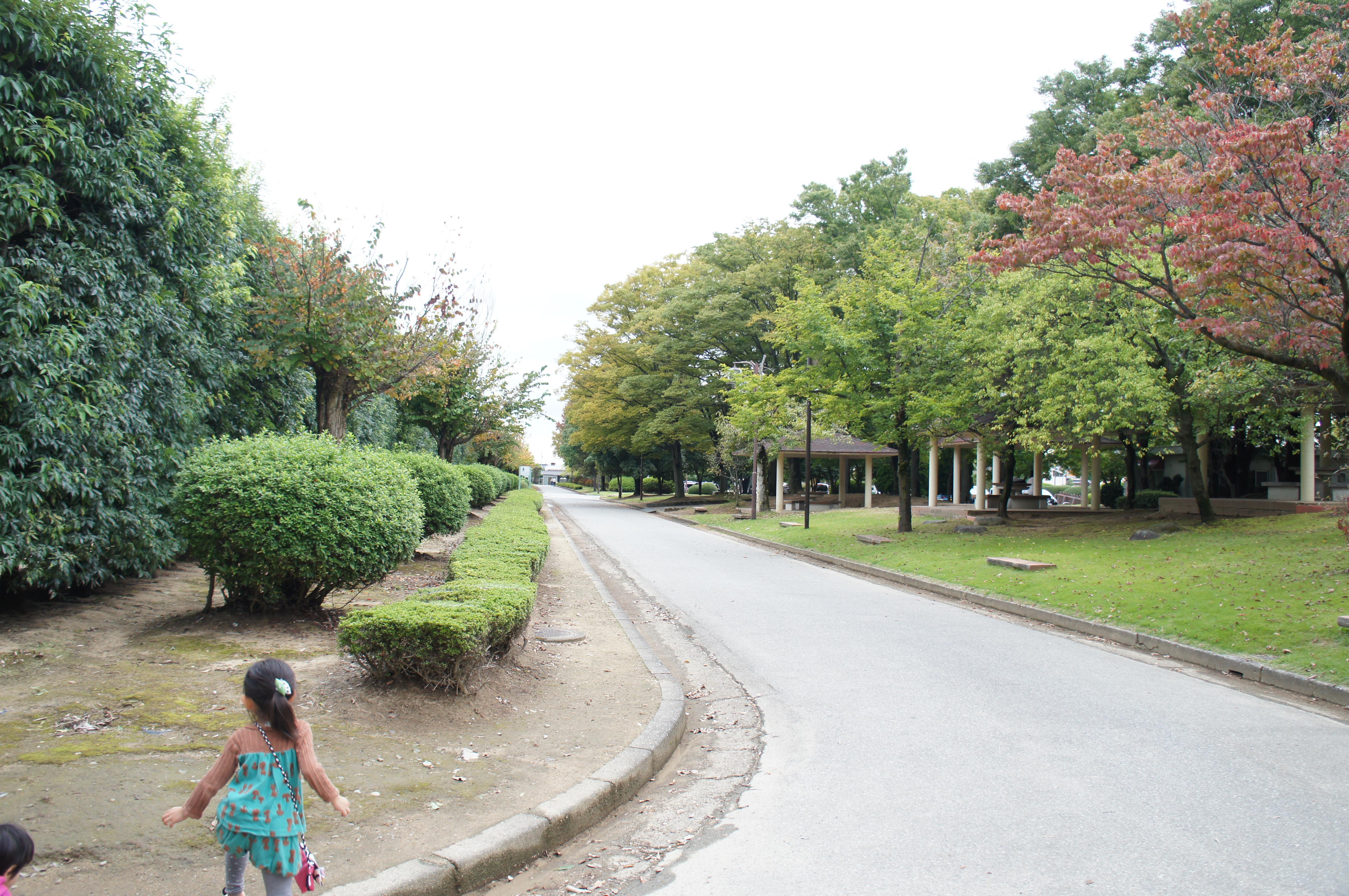 富山 公園｜富山県岩瀬スポーツ公園