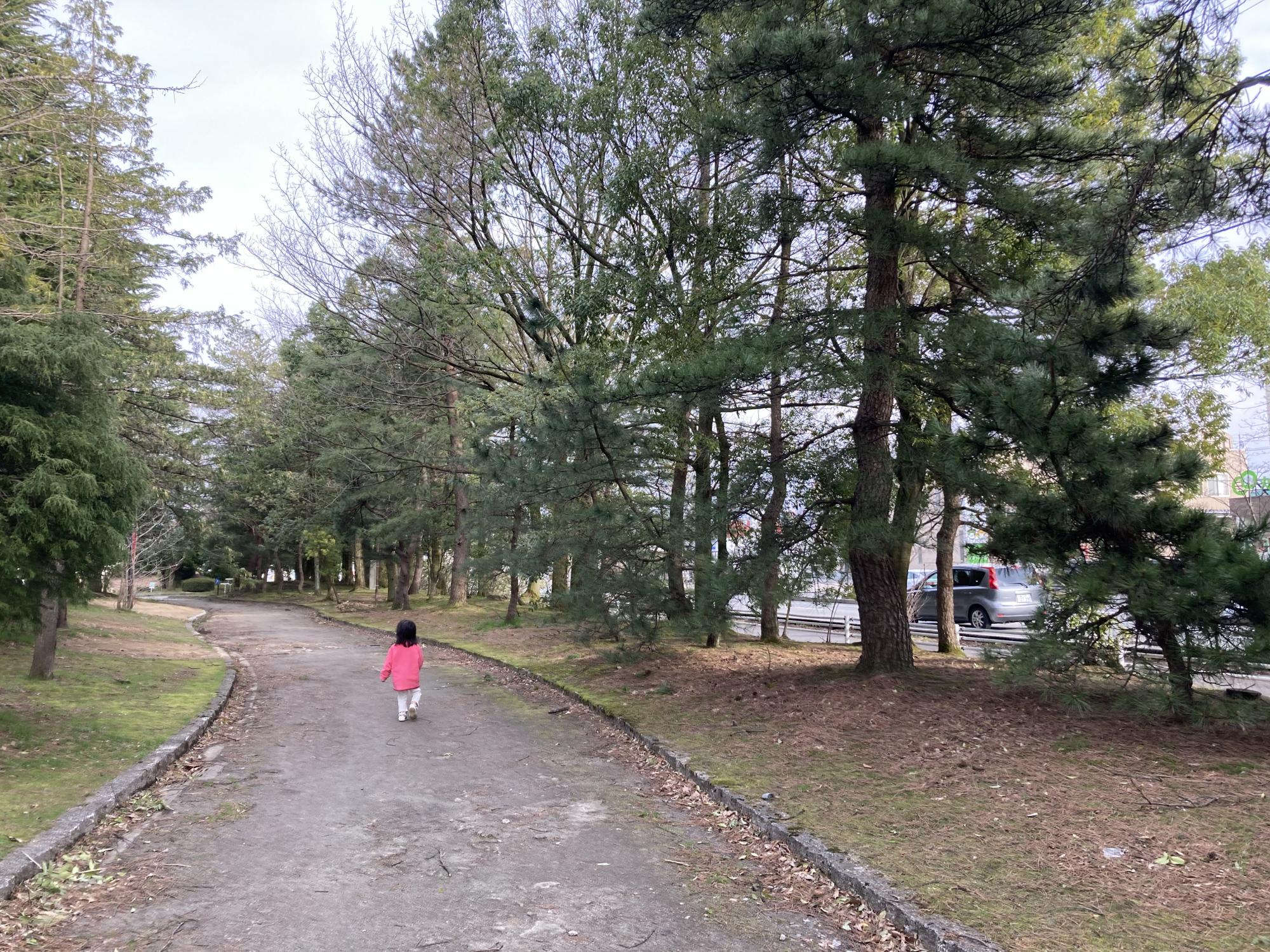上冨居公園