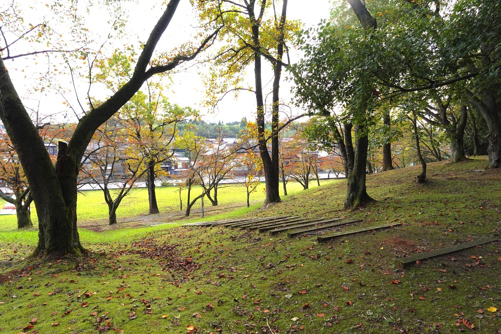 薬勝寺池公園