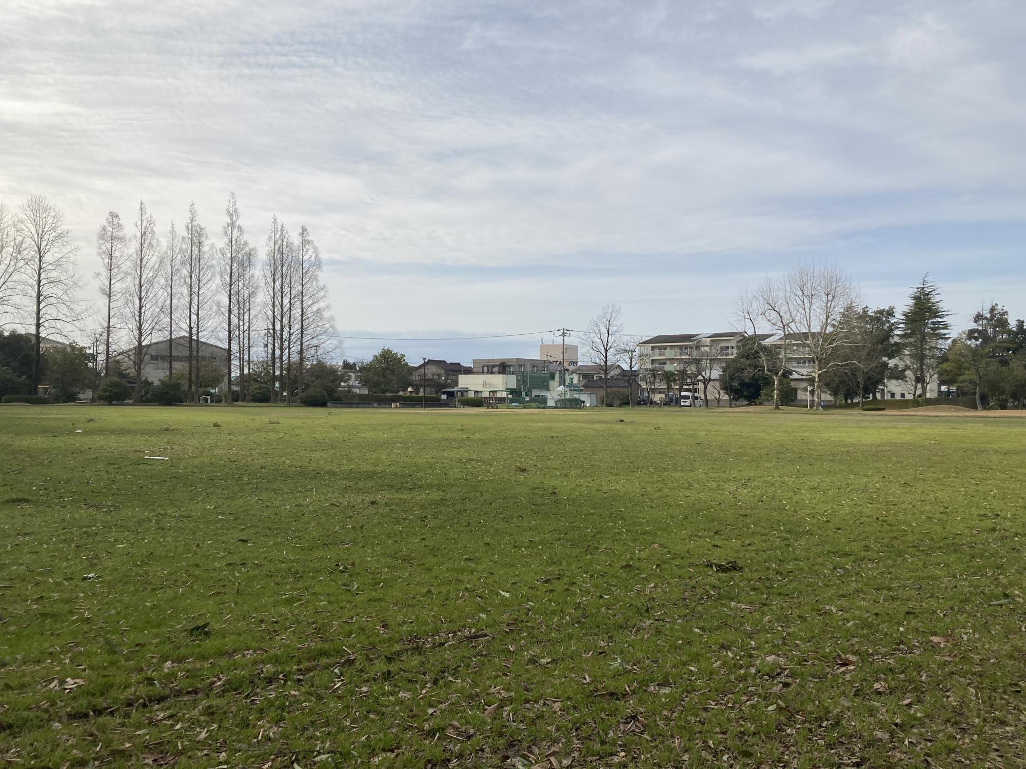 上冨居公園