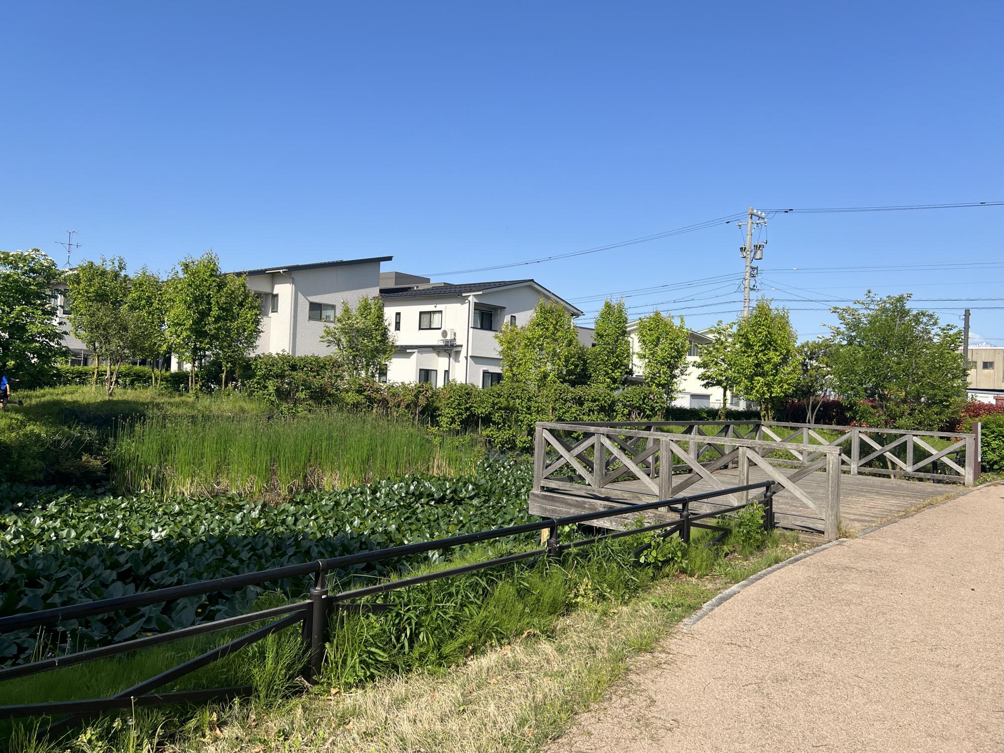 石金夢の森公園