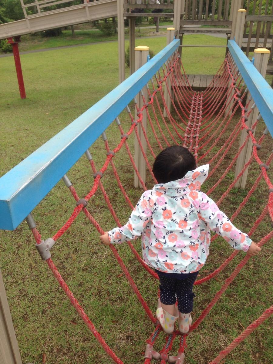 富山 公園|北代緑地公園