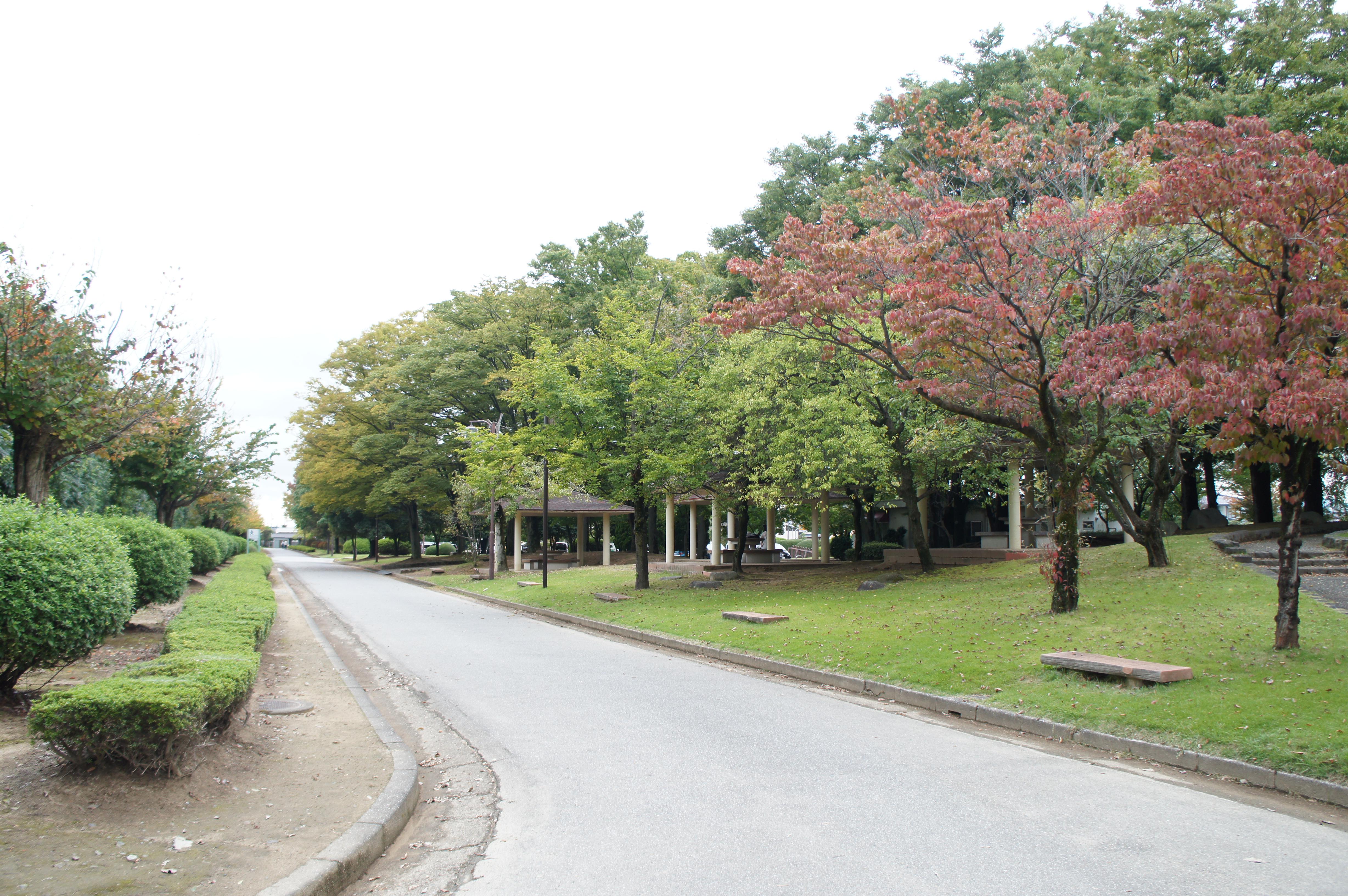 富山 公園｜富山県岩瀬スポーツ公園